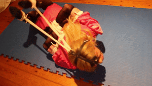 naughtynina.net - Gagged and Bound Pretty In Pink thumbnail